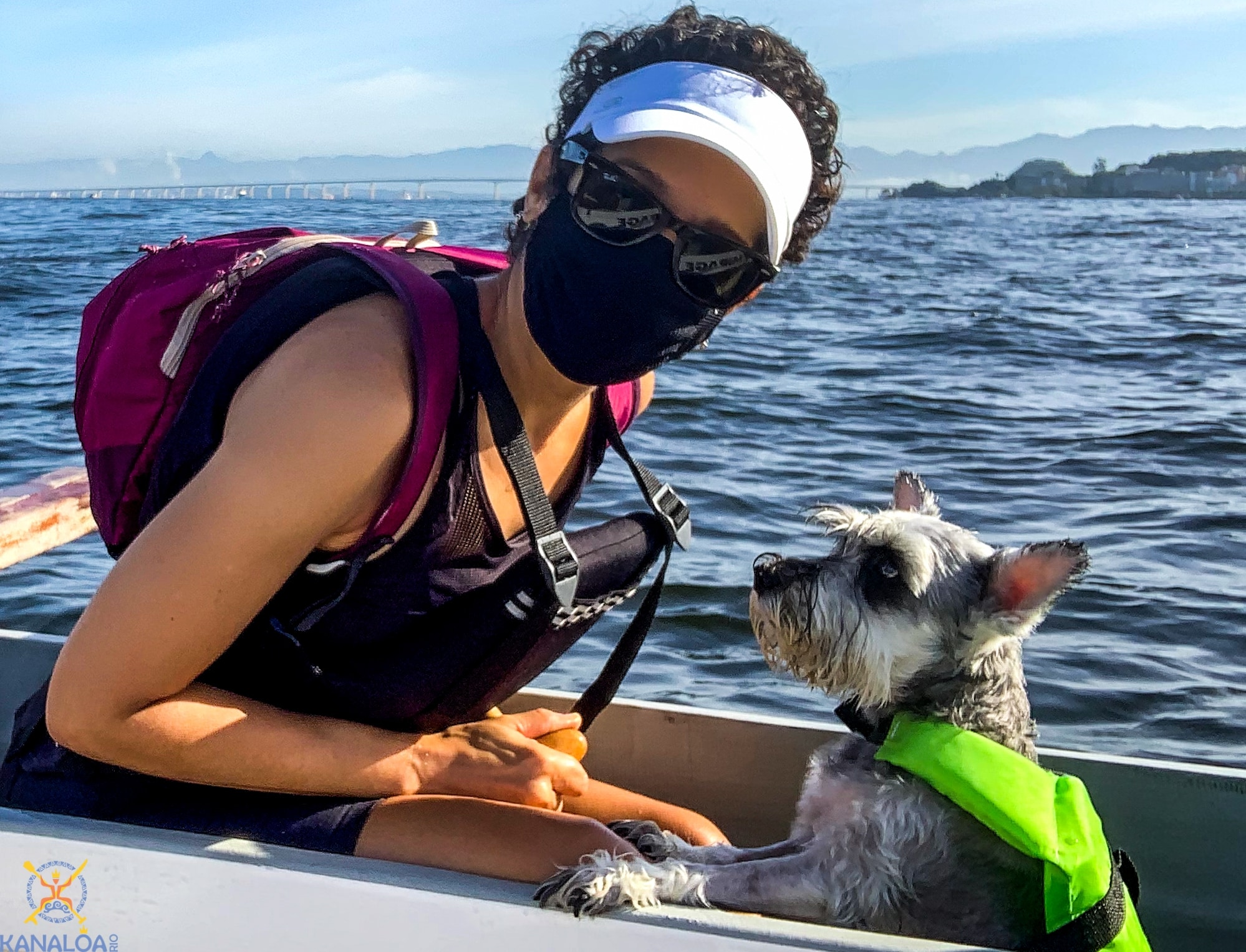 O que fazer com seu cachorro PET no Rio de Janeiro